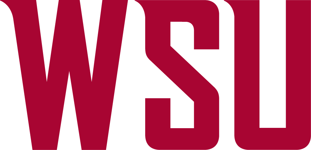 Washington State Cougars 2011-Pres Wordmark Logo v2 diy fabric transfer